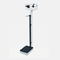 Medical 160 - 200kg Electronic Body Weight Height Scale For Enterprises, Schools WLB200RT supplier